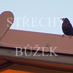 střešní krytina - IKO