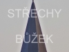 strechy-buzek-107