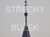strechy-buzek-108