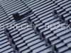 strechy-buzek-28