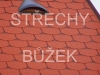 strechy-buzek-60