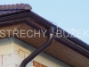 strechy-buzek-72
