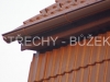 strechy-buzek-84