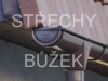 strechy-buzek-85