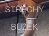 strechy-buzek-89