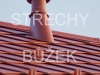 strechy-buzek-94